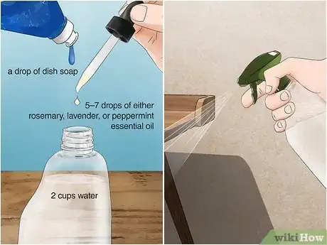 Image titled Get Rid of Spiders on an Outside Desk Step 2