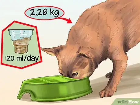 Image titled Keep Toy Breed Dogs Safe Around Kids Step 10