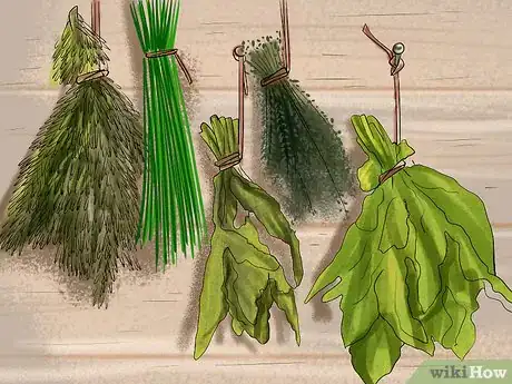 Image titled Harvest Herbs Step 17
