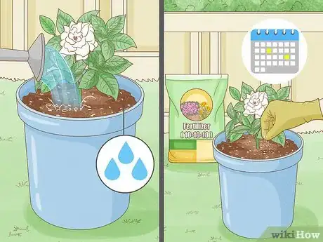 Image titled Transplant Potted Flowers Outdoors Step 16