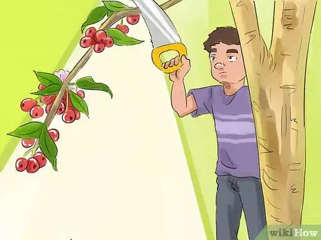 Image titled Prune a Crabapple Tree Step 7