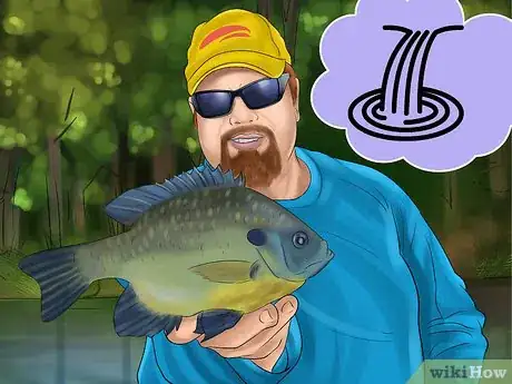 Image titled Catch Bluegill Step 8
