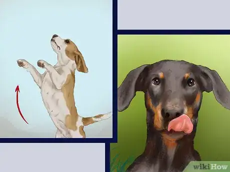 Image titled Feel Comfortable Around Big Dogs Step 7