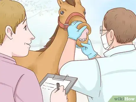 Image titled Become an Equine Veterinarian Step 7