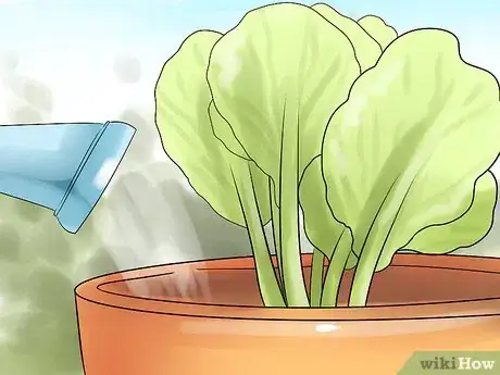 Image titled Choose the Best Time for Watering the Garden Step 6