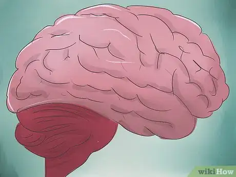 Image titled Become a Speech Pathologist Step 5