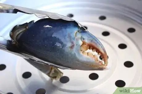 Image titled Cook Stone Crab Claws Step 9