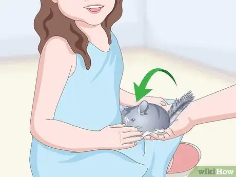 Image titled Keep Chinchillas Safe Around Children Step 7