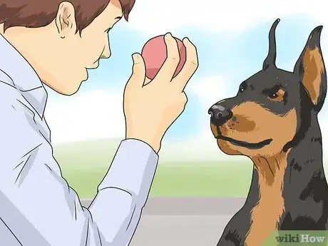 Image titled Keep Your Dog from Being Bored Step 8