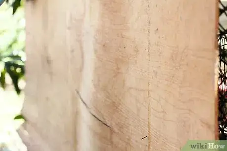 Image titled Make a Rabbit Room Step 9