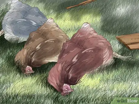 Image titled Catch Weasels Step 11