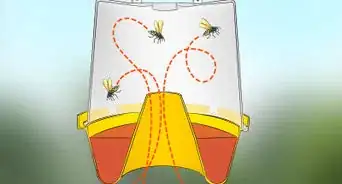 Kill Yellow Jackets in the Wall