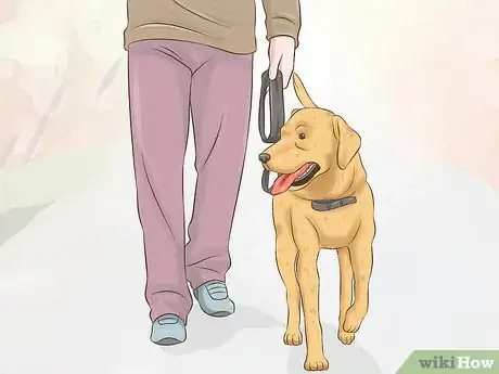 Image titled Take Care of Your Pet Step 8