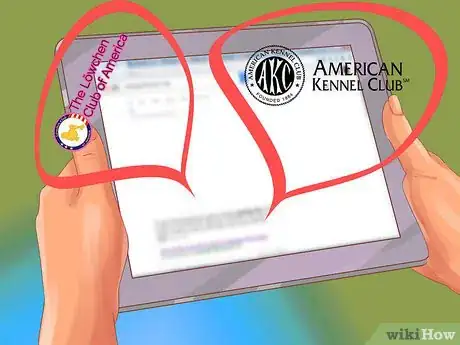 Image titled Choose a Lowchen Puppy Step 2