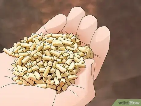 Image titled Be a Poultry Farmer Step 12