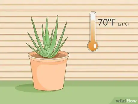 Image titled Keep an Aloe Vera Plant Fresh Step 4