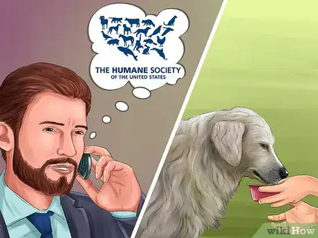 Image titled Help an Abused Dog Step 4