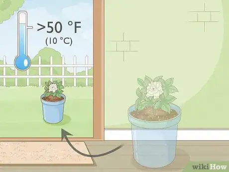 Image titled Transplant Potted Flowers Outdoors Step 18