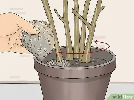 Image titled Overwinter Fuchsias Step 13