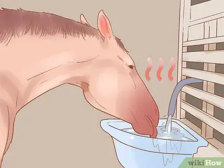 Image titled Ride a Horse in the Winter Step 18