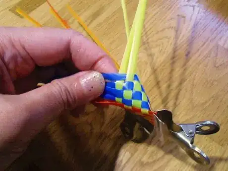 Image titled Ssack13_896.JPG