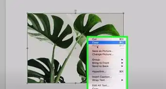 Add Images to a Microsoft Word Document