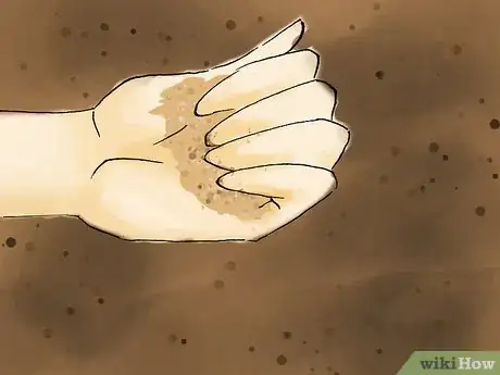 Image titled Plant Pyracantha Step 09