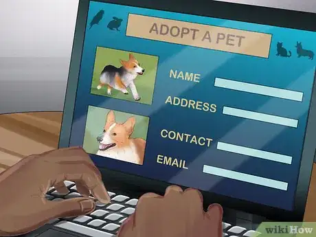 Image titled Rescue a Corgi Step 9