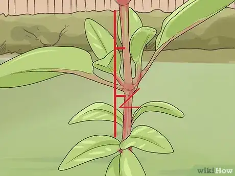 Image titled Prune Fuschias Step 4