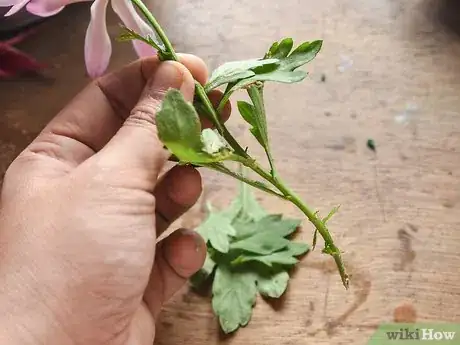 Image titled Make a Dried Flower Bouquet Step 5