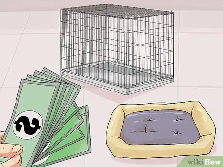 Image titled Have a Successful First Day with a New Dog Step 1