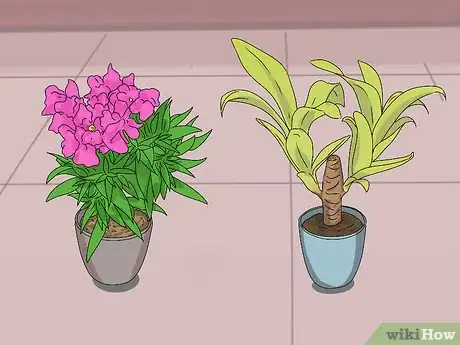 Image titled Make Your Home Smell Like Spring Step 2