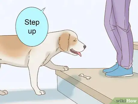 Image titled Train a Blind Dog to Handle the Stairs Step 9