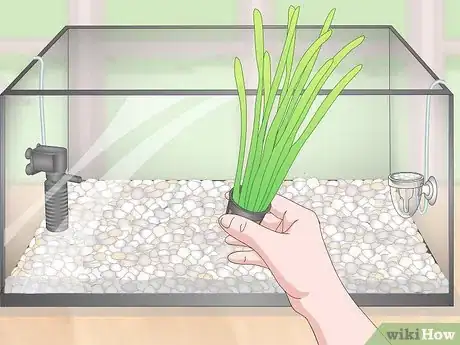 Image titled Set up a Planted Goldfish Aquarium Step 7