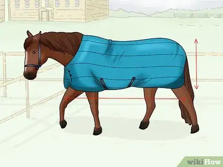 Image titled Take off a Horse Blanket Step 2
