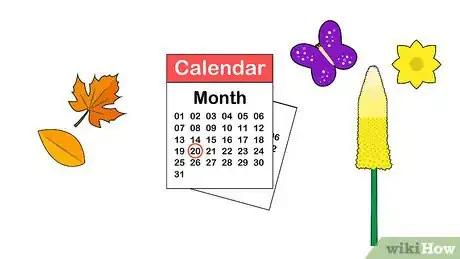 Image titled Plant Eremurus Step 1