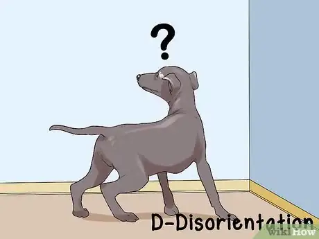 Image titled Diagnose Cognitive Dysfunction in Senior Dogs Step 1