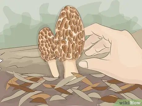 Image titled Saute Morel Mushrooms Step 16