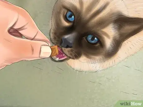 Image titled Hide Treats for Your Cat Step 6