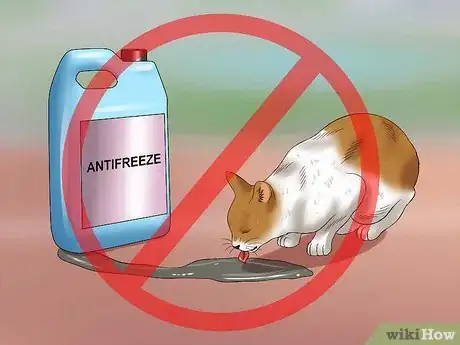 Image titled Protect Your Cat from Household Hazards Step 9