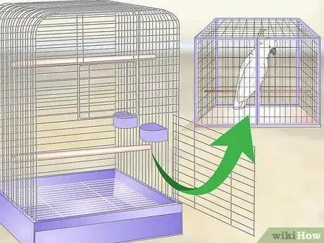 Image titled Clean a Cockatoo Cage Step 6