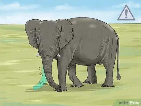 Image titled See Elephants in Sri Lanka Step 10