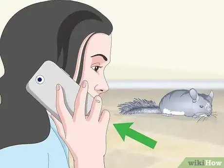 Image titled Avoid Poisoning a Chinchilla Step 12
