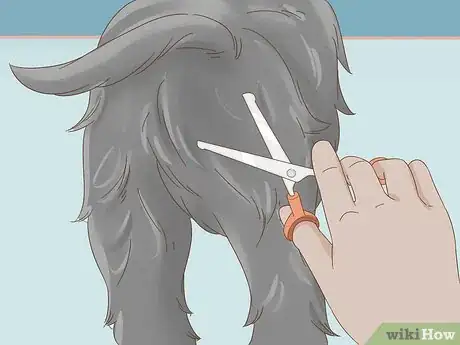Image titled Groom an Affenpinscher Step 8