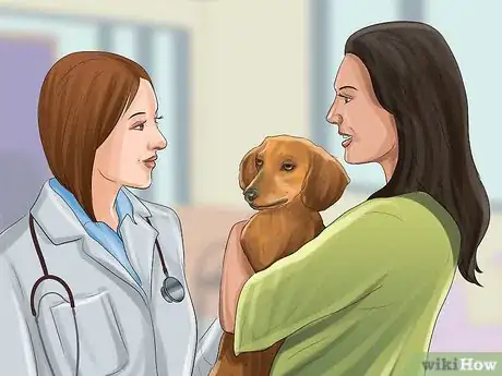 Image titled Treat Canine Stroke Step 4