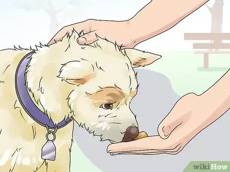 Image titled Give Your Dog a Treat Step 4