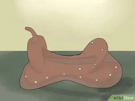 Image titled Rawhide a Saddle Tree Step 7