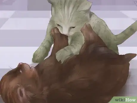 Image titled Socialize Your Kitten Step 11