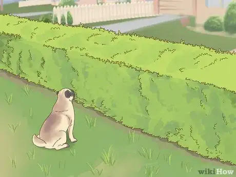 Image titled Keep Dogs Out of Gardens Step 2