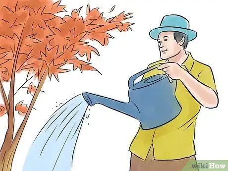 Image titled Grow a Japanese Maple Step 6